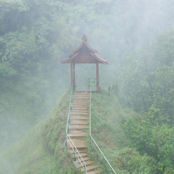 Paksong Brother Tours Laos