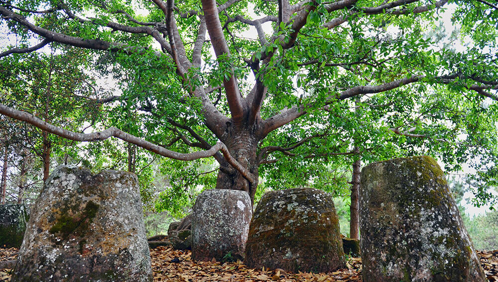 Plain of jars site 2 Brother Tours