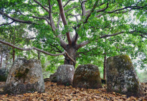 Plain of jars site 2 Brother Tours