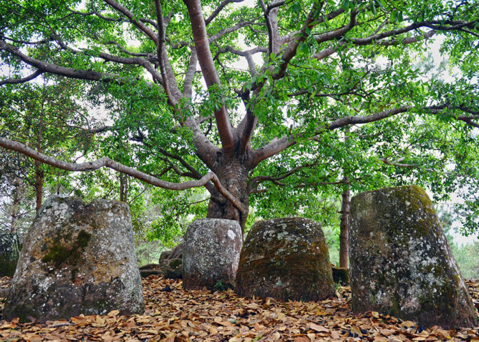 Plain of jars site 2 Brother Tours