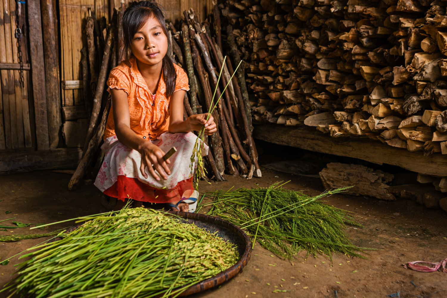 Lao ethnic group