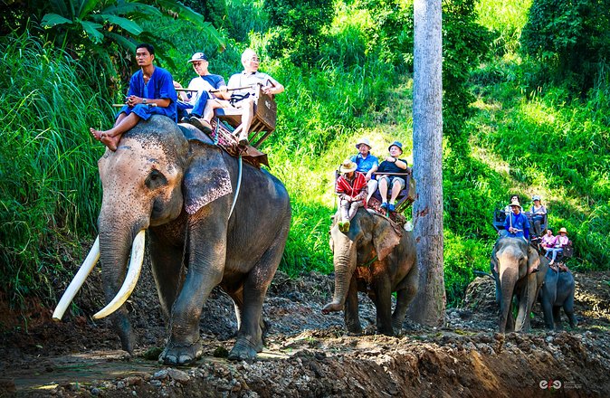 Traveling in Laos: A Beginner's Guide