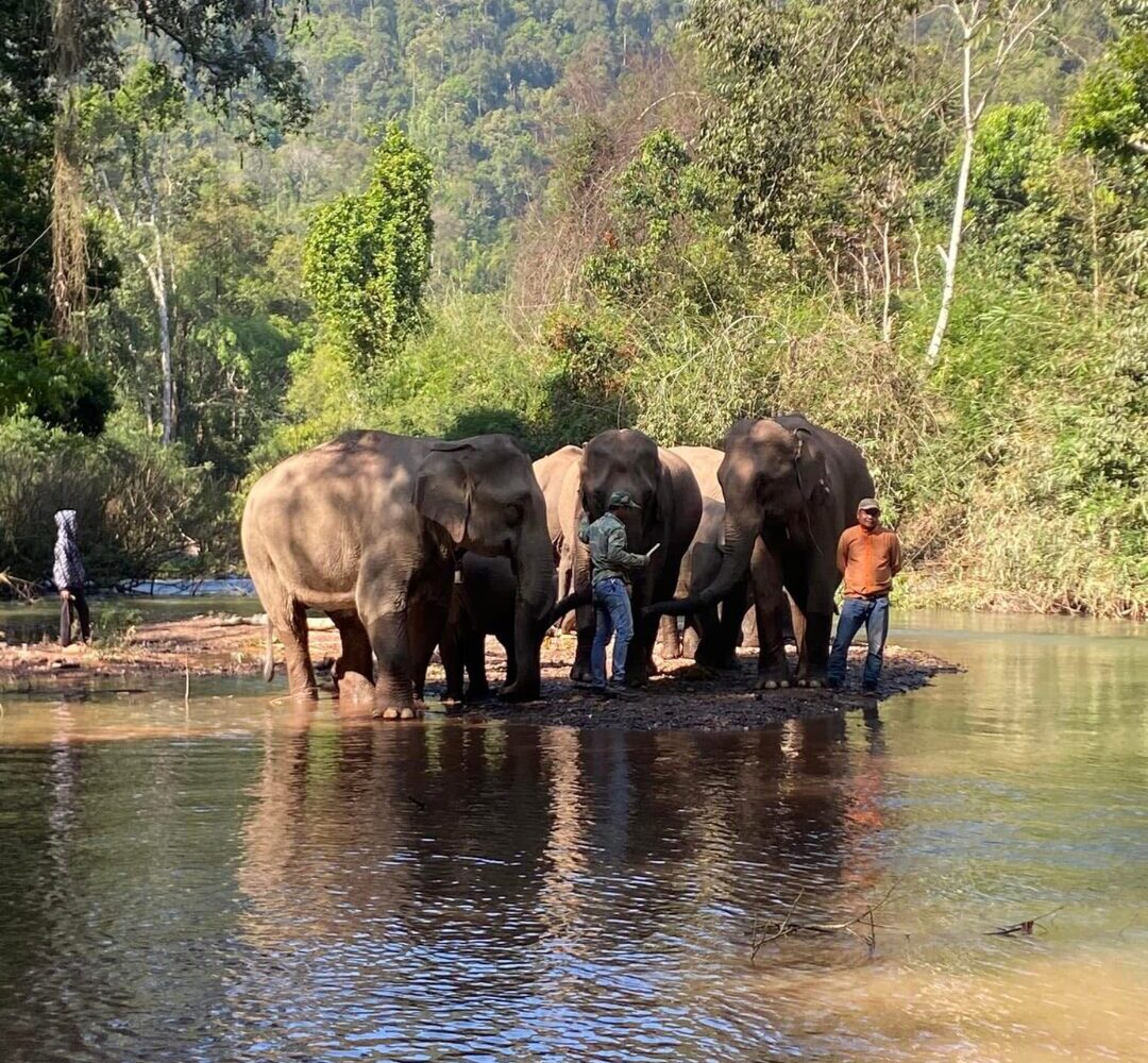 best 7-day tour in Laos