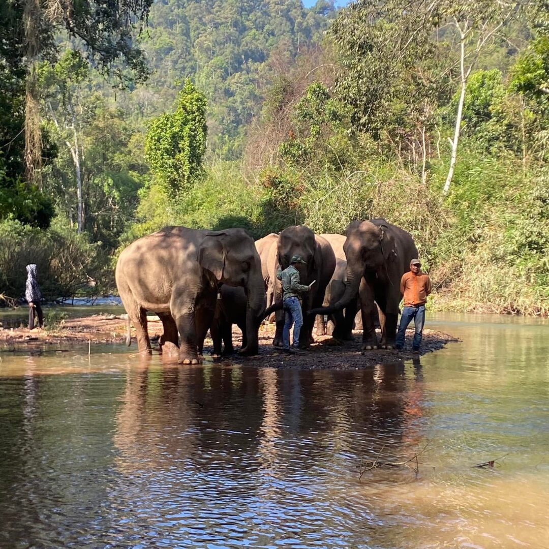 best 7-day tour in Laos, tour in Laos