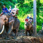 5 Day Jungle Adventure Trek and Cultural Homestay