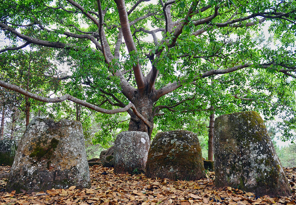 Exploring the Mysteries of the Plain of Jars: A Journey Through Laos