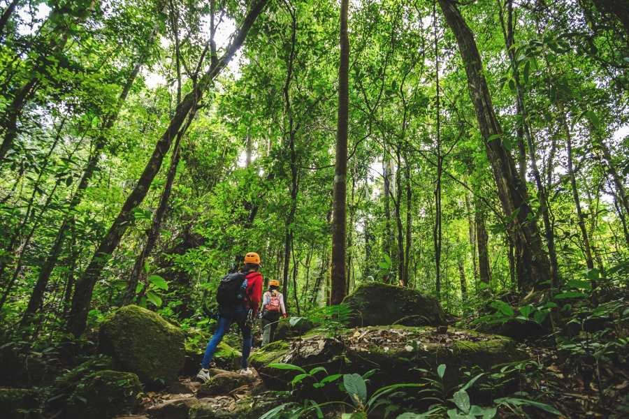 Trekking vs Hiking