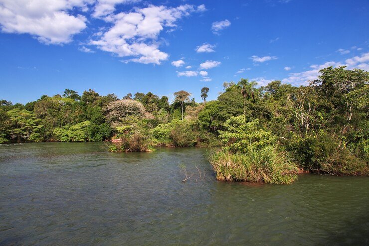 Taman Negara (Malaysia)