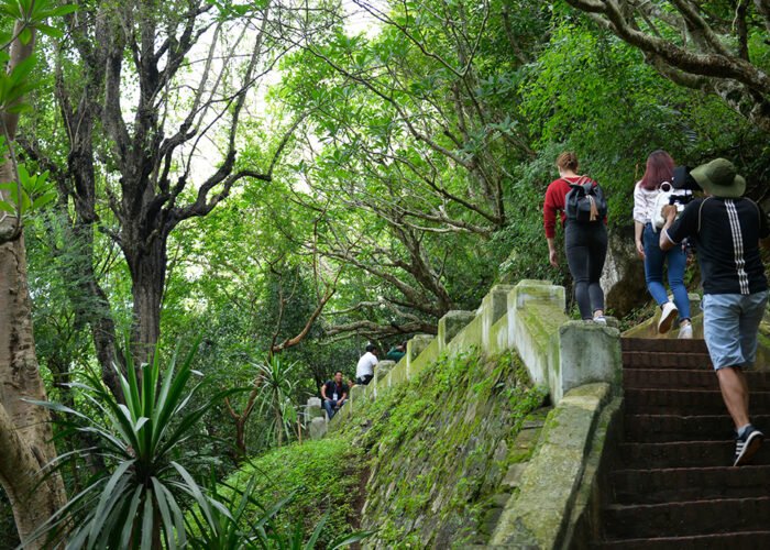 Trekking vs Hiking