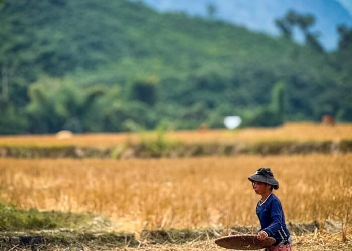 Laos Meilleure Période