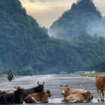14-Day laos private expedition