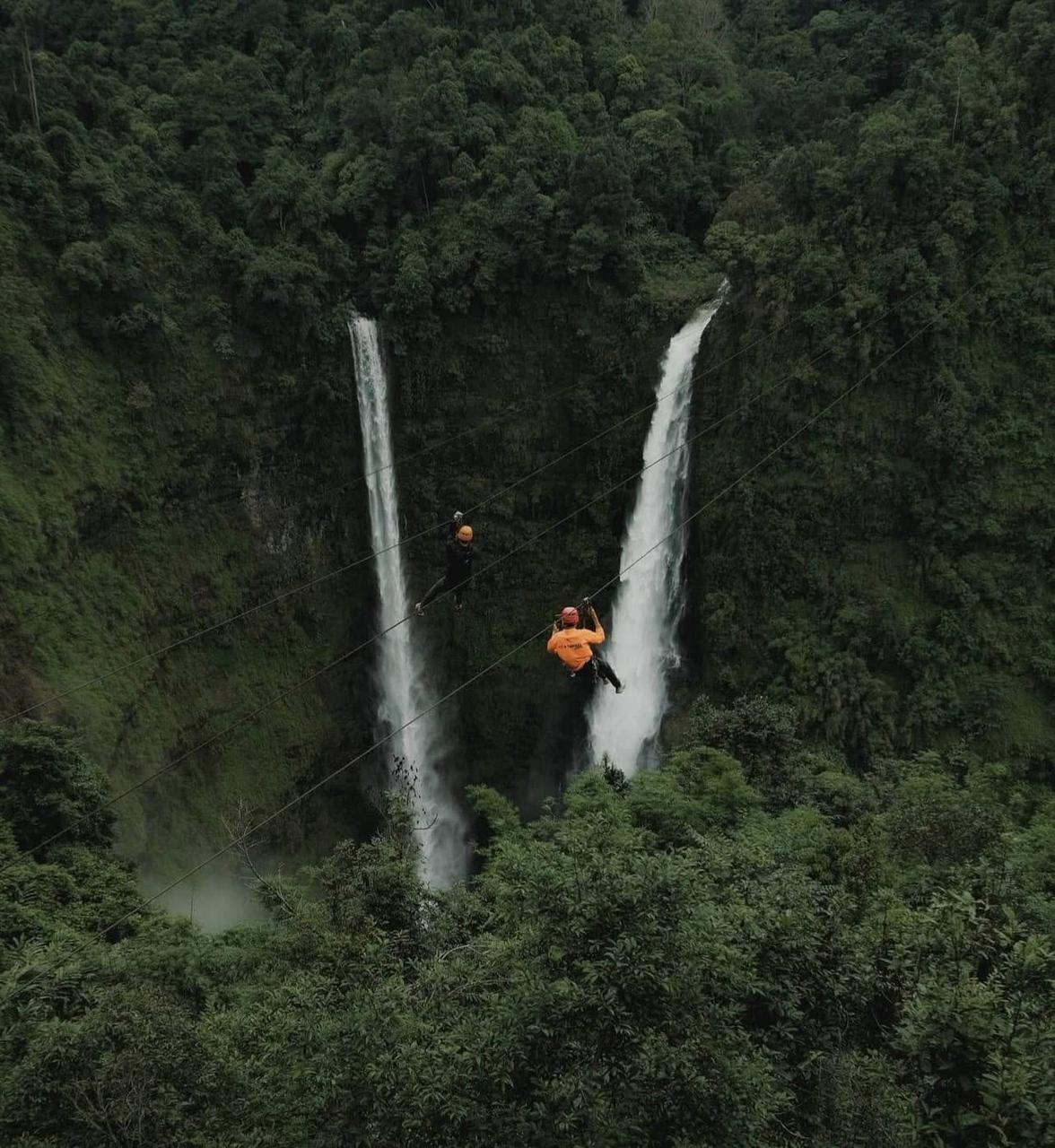 Bolaven Plateau Coffee Plantation